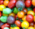 Rainbow Cherry Tomato Seeds - 30+ Heirloom Organic NON-GMO - Fresh Vegetable Seeds for Home Gardening
