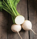 White Albino Beet Seeds - 500+ Heirloom Organic NON-GMO - Fresh Vegetable Seeds for Gardening (Beta vulgaris)